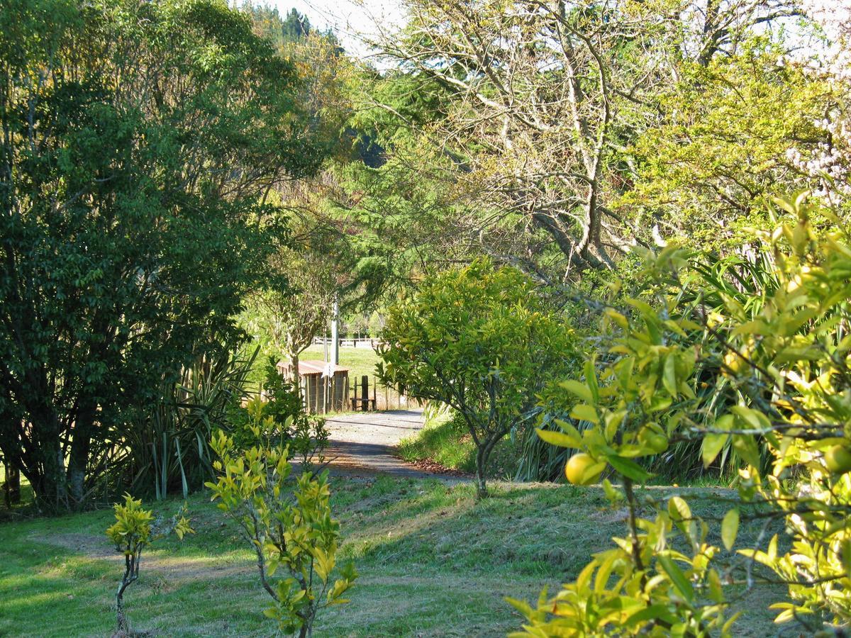 Vila Corru Gate Mapua Exteriér fotografie